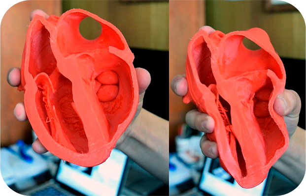 Corazón 3D impreso con filamento 3D flexible por una impresora axis one de la empresa print3x printex printec print3c